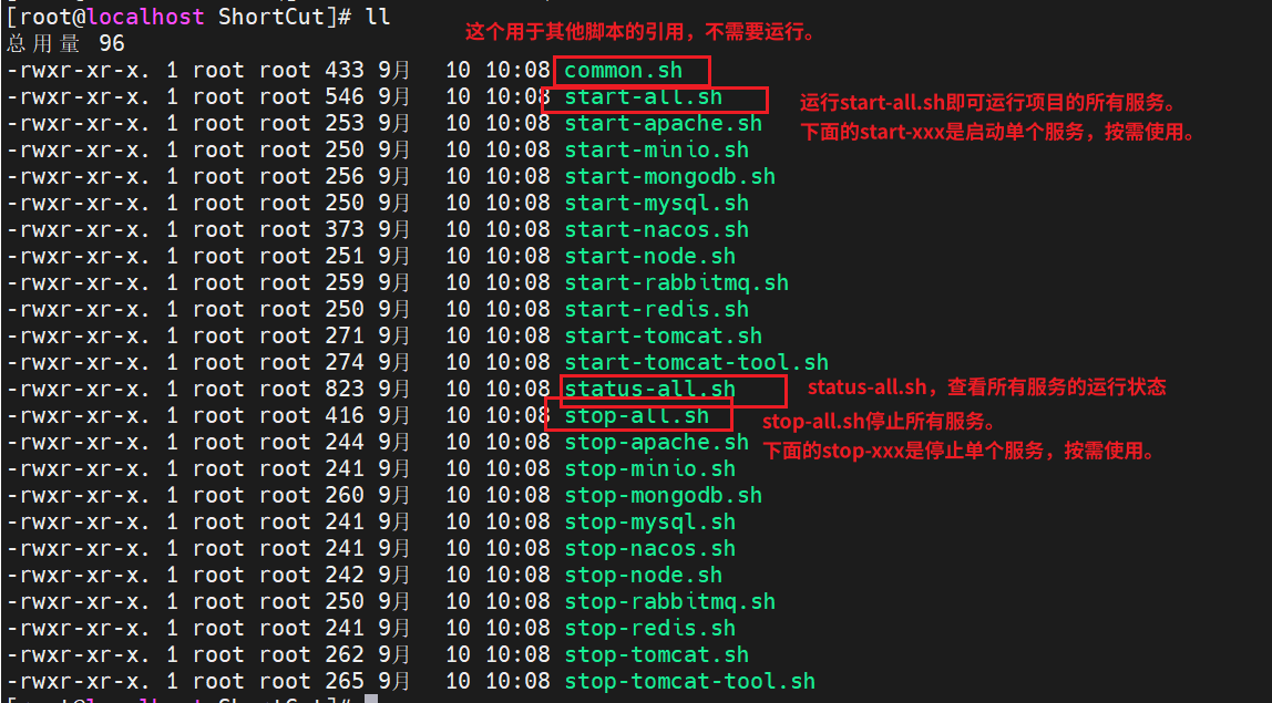 image-20250910101746849