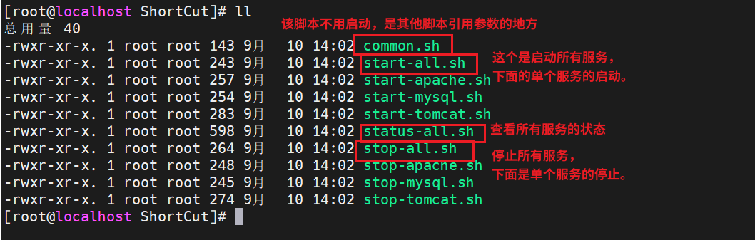 image-20250910140702475